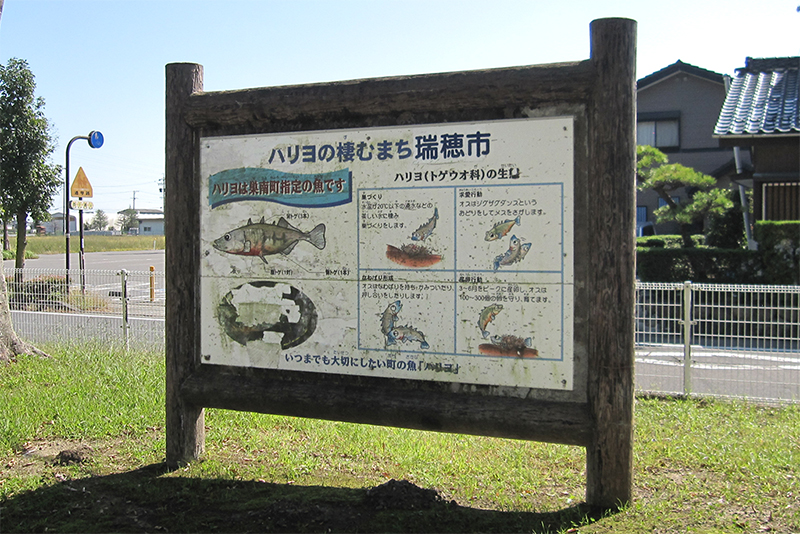 岐阜県瑞穂市 公園アワード Pk 岐阜県113 西ふれあい広場 Jr2vkbのアマチュア無線日記