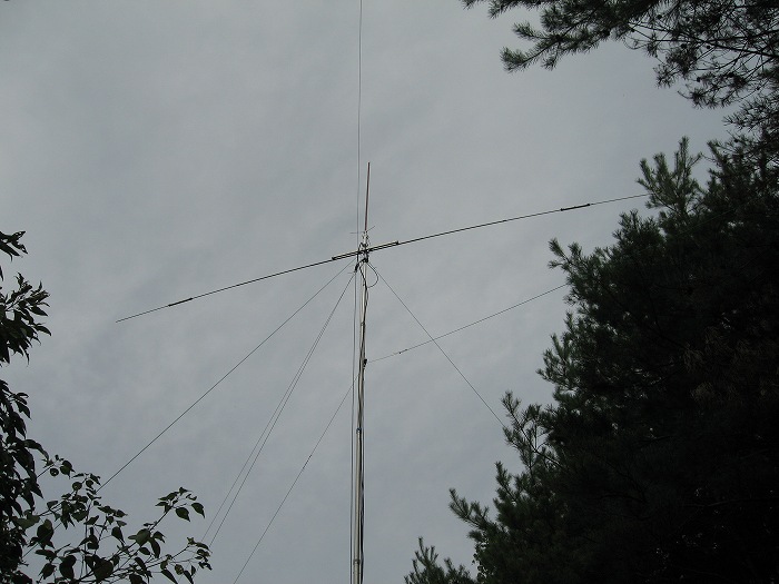 174af547.jpg