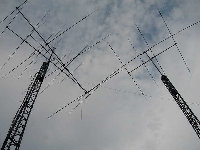 1d351126.jpg