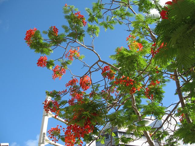 bdf4695d.jpg