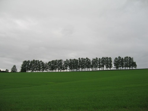 108Èþ±ÍÄ®¡¡¥Þ¥¤¥ë¥É¥»¥Ö¥ó¤ÎµÖ¤_R