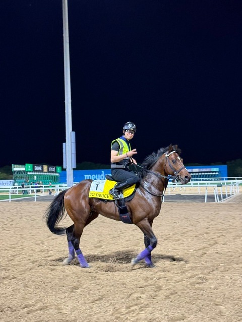 【競馬】ドウデュース　馬体がまたマッチョに