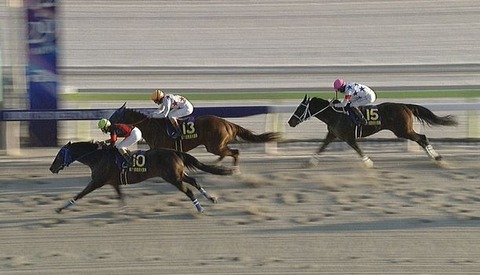 【競馬】東京大賞典は矢野騎乗の大井のディクテオンがV