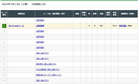 WS001028