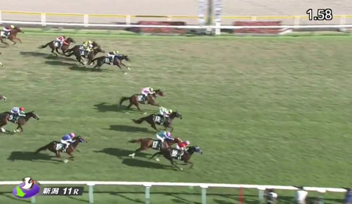 競馬 新潟記念はデムーロ騎乗のマイネルファンロンがｖ 競馬総合まとめ速報