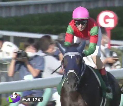 競馬 新潟記念1着 マイネルファンロン手塚調教師 勝因はジョッキー 競馬総合まとめ速報