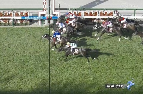 【競馬】チューリップ賞は西村淳騎乗のタイセイボーグがV　武豊騎乗のアランカールは3着