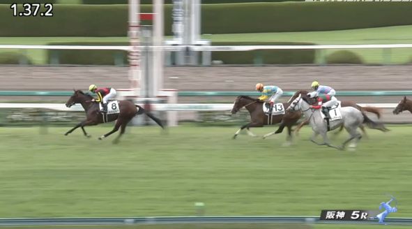 競馬総合まとめ速報【競馬】阪神5R新馬戦 フランケル産駒のミスエルテが馬なりの大楽勝コメントコメントする