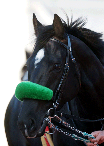 これぞシャドーロール 京大式ｓｐ指数 久保和功vsカリスマ馬券師 赤木一騎 馬券対決 競馬研究 競馬ハイブリッド