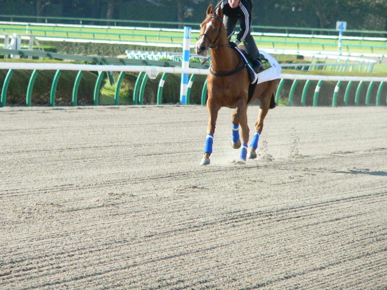 香港馬ココだけ情報 京大式ｓｐ指数 久保和功vsカリスマ馬券師 赤木一騎 馬券対決 競馬研究 競馬ハイブリッド