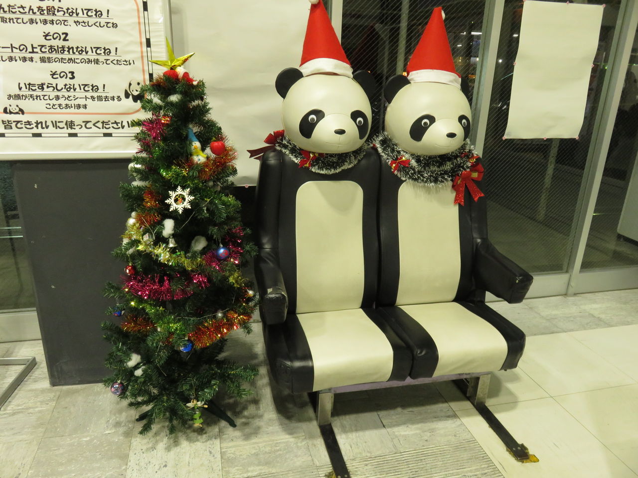 イメージ 7