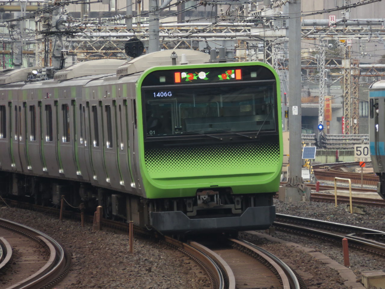 イメージ 7