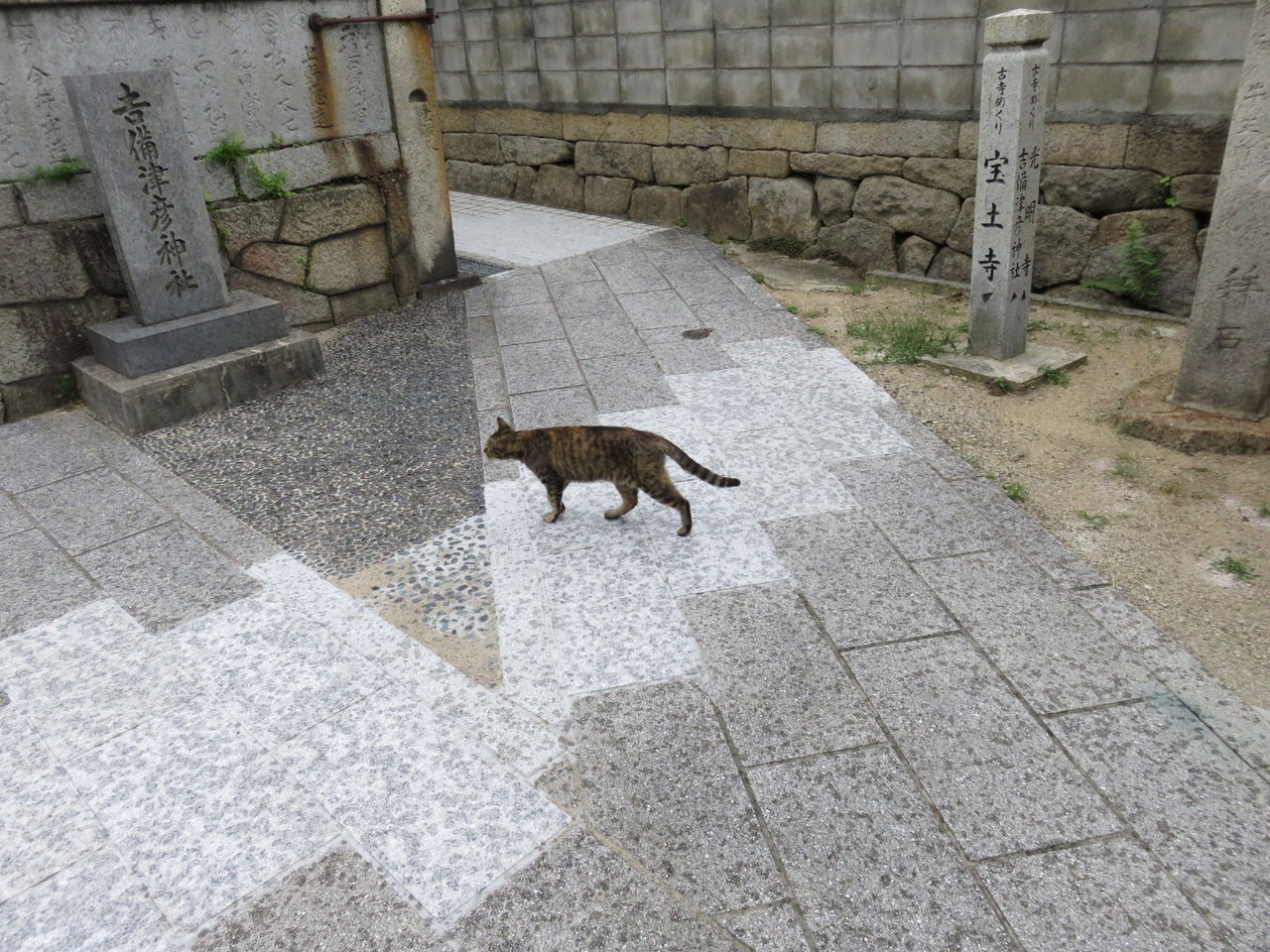 イメージ 6