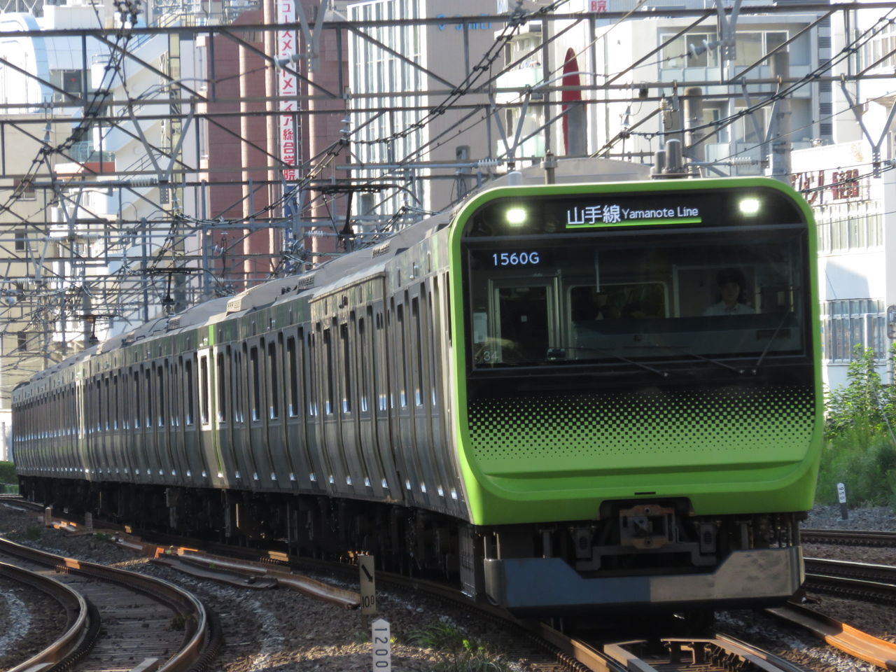 イメージ 6
