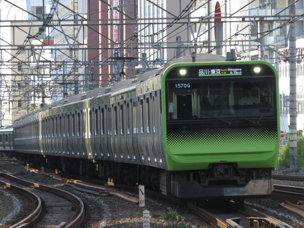 イメージ 7