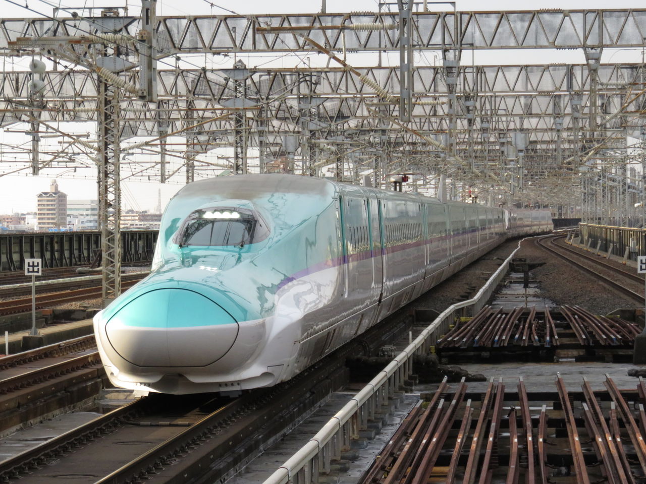 イメージ 7