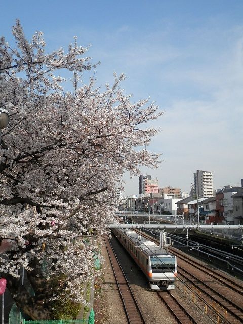 イメージ 6