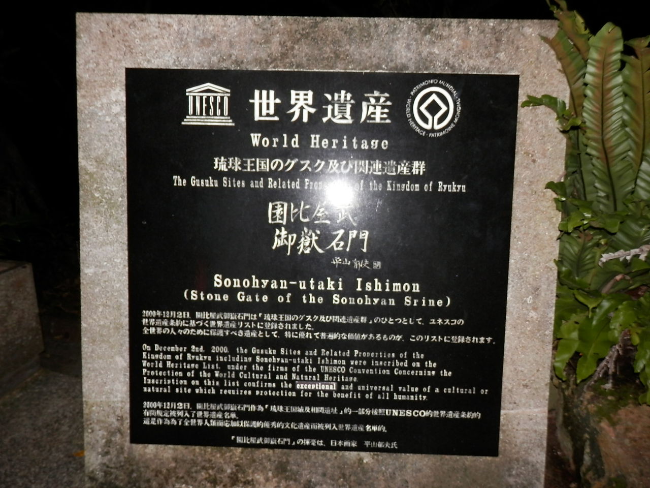 イメージ 6