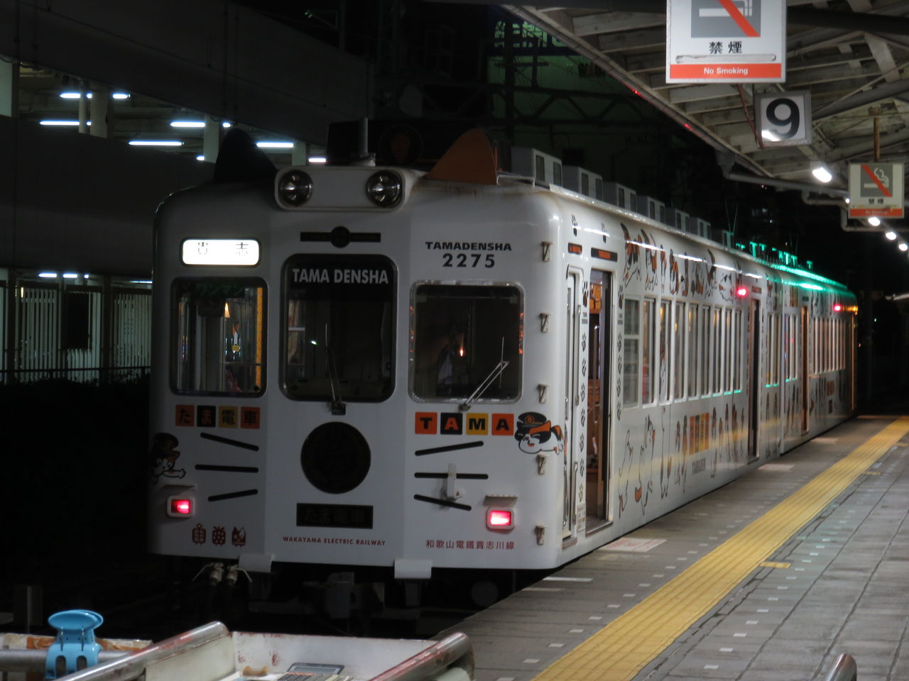 イメージ 7