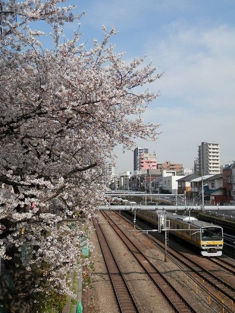 イメージ 5