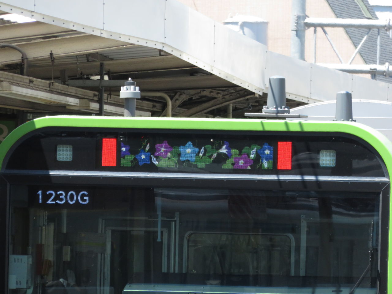 イメージ 5