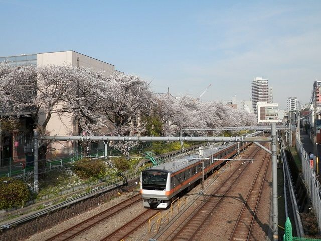イメージ 10