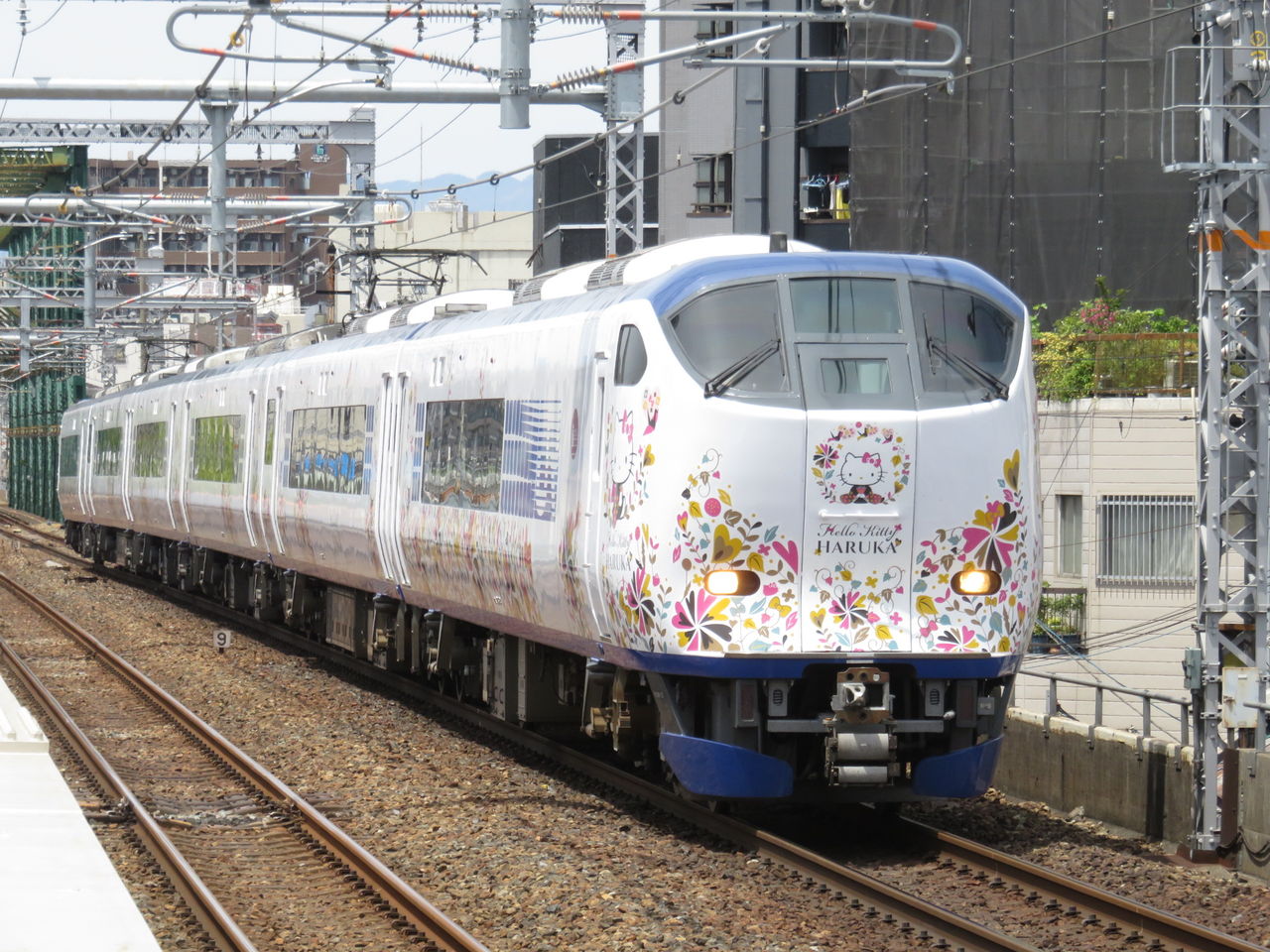 イメージ 8