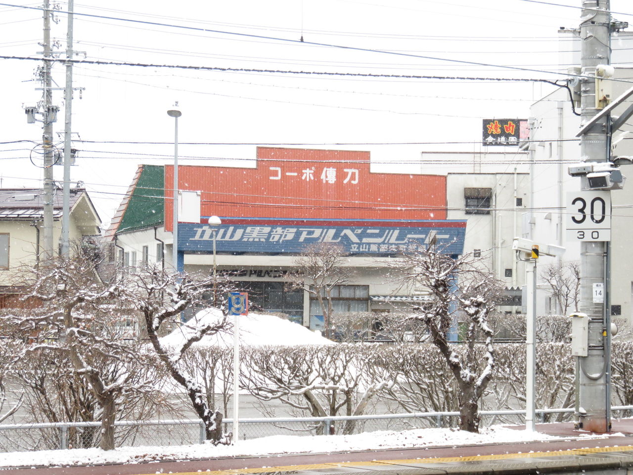 イメージ 5