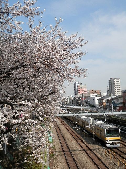 イメージ 4
