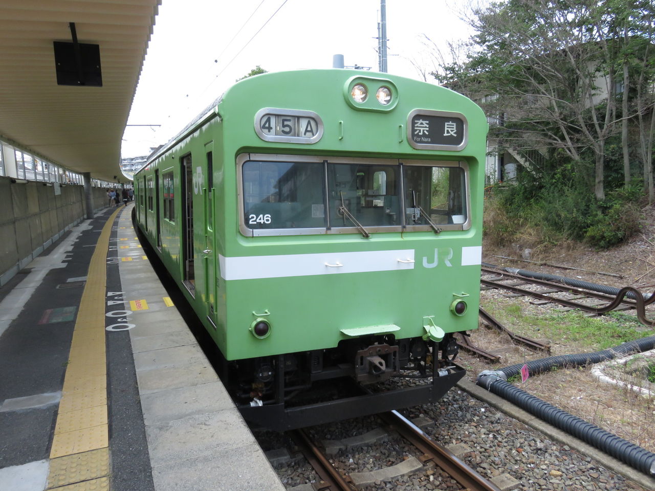 イメージ 5