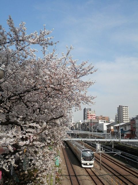 イメージ 8