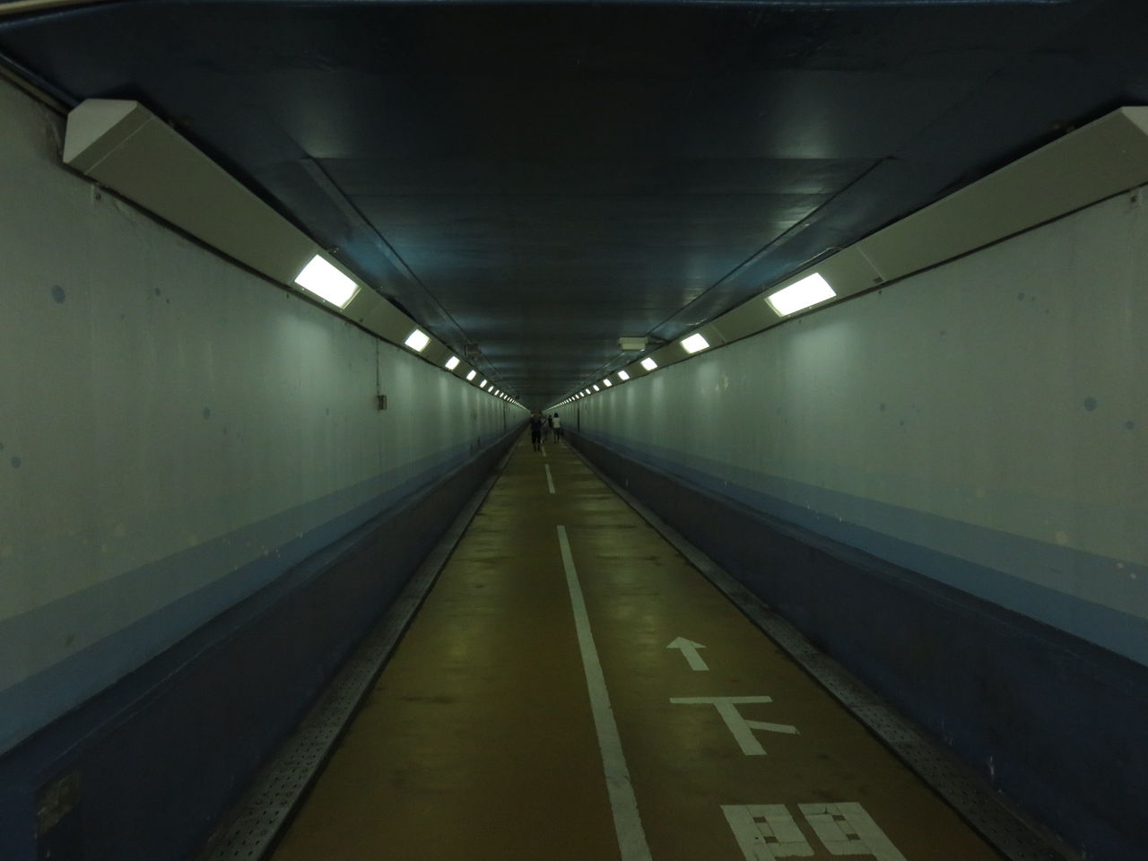 イメージ 8