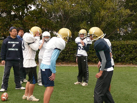 日本フラッグフットボール協会