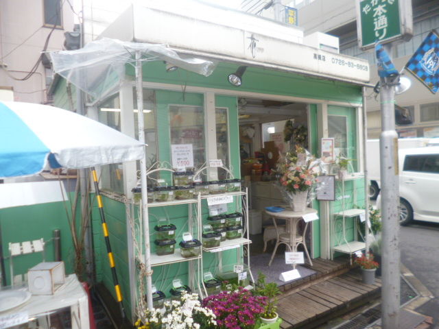 高槻市のかわいい花屋さんとワンちゃん ペットと暮らす 高槻市 高槻市のかわいい花屋さんとワンちゃん ペットと暮らす 高槻市