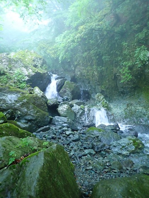 P6080010