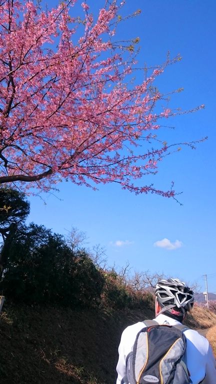 イメージ 9