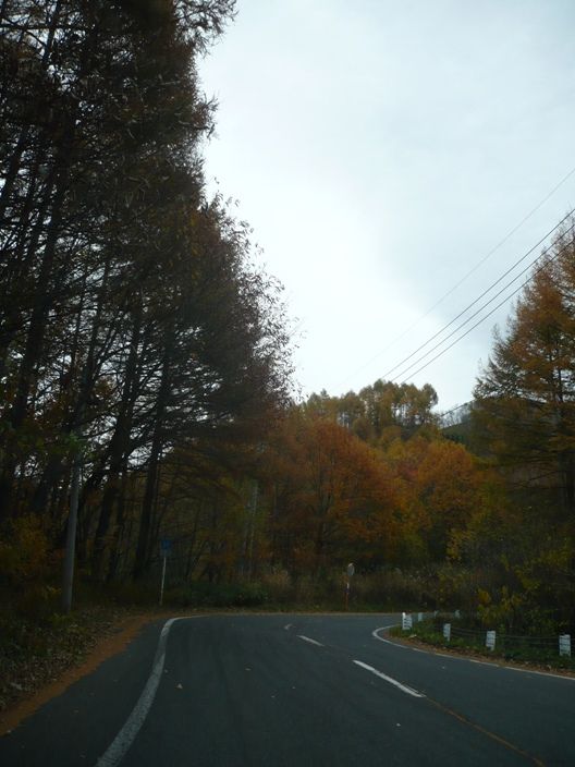 https://livedoor.blogimg.jp/js1ktr/imgs/0/3/031a37ba.jpg