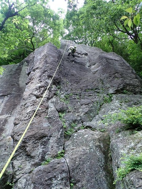P5310012