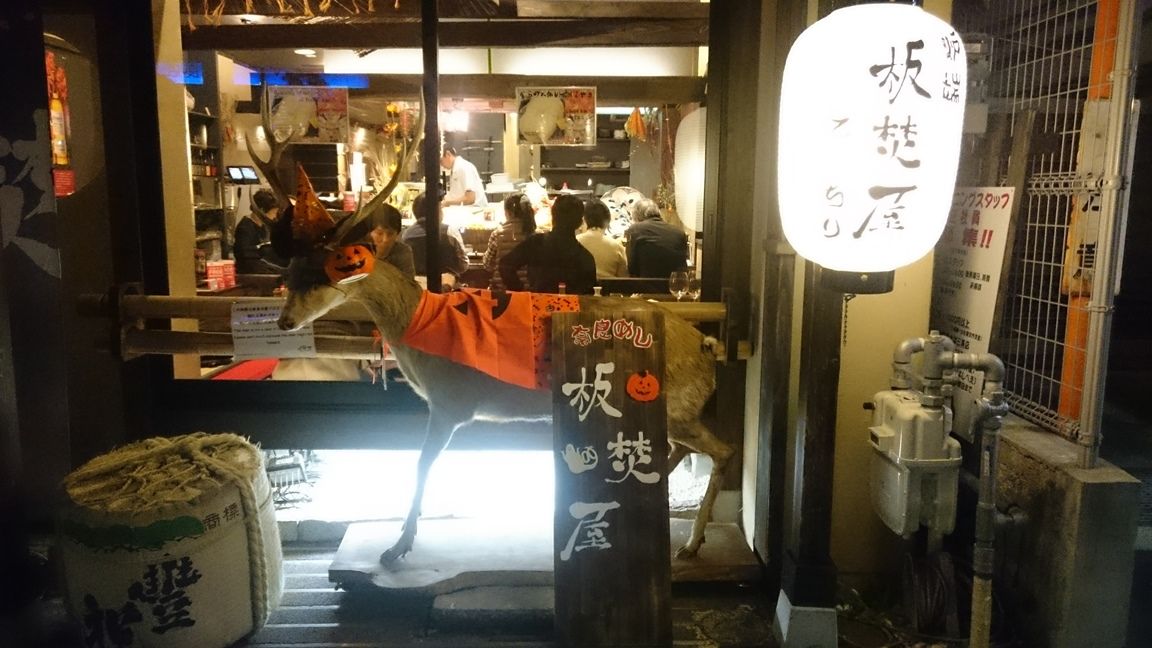 イメージ 31