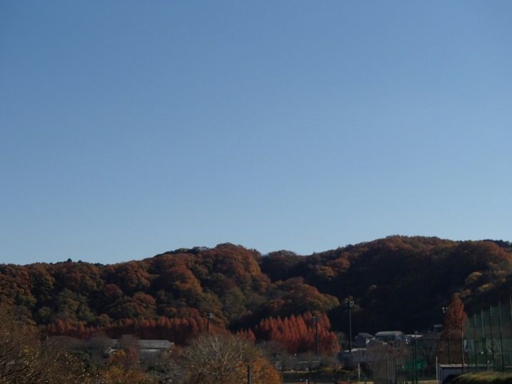 イメージ 15