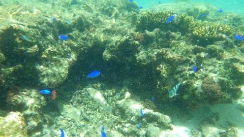 RIMG8365