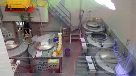 batch_RIMG4897