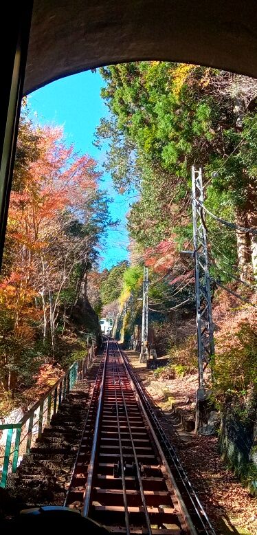 batch_IMG_20251207_130121