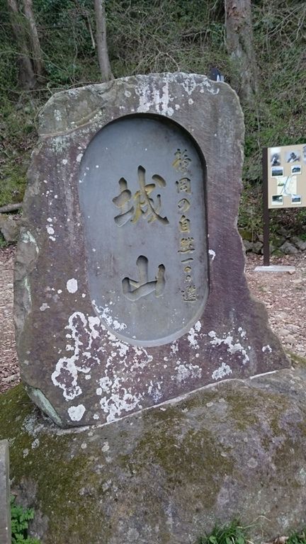 イメージ 15