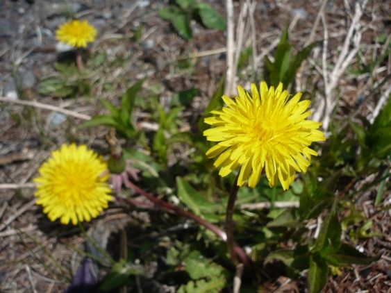 https://livedoor.blogimg.jp/js1ktr/imgs/0/9/093a8a4a.jpg