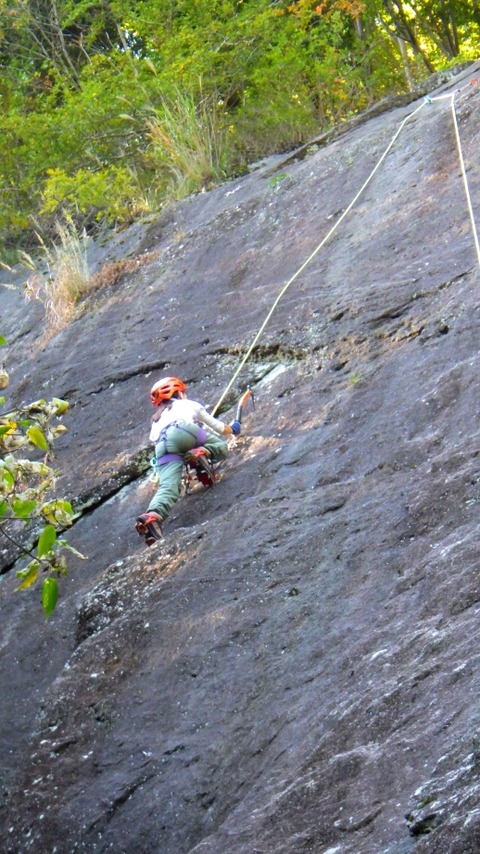 RIMG8478