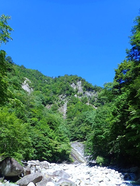 P8060052