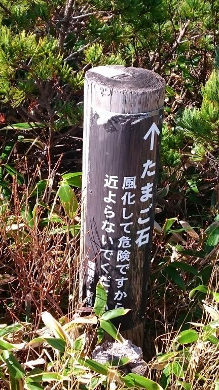 イメージ 5
