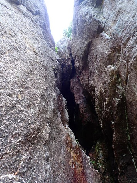 P6210046