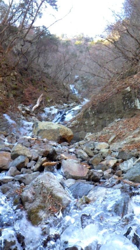 RIMG0956
